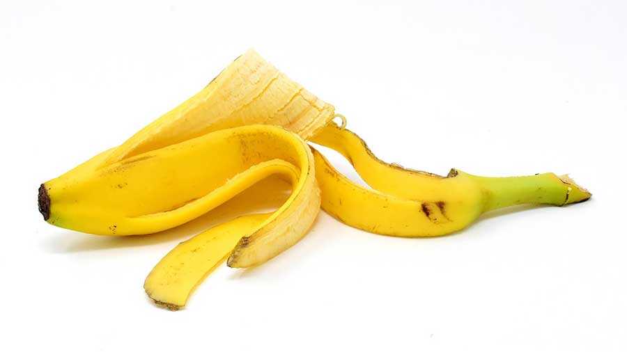 banana peel