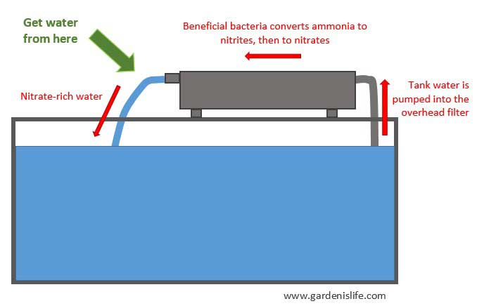 Aquarium Overhead Filter aquarium overhead filter
